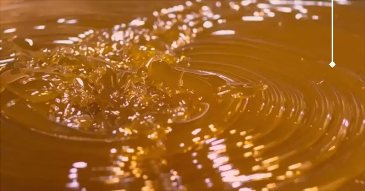 Understanding Grease Bleeding