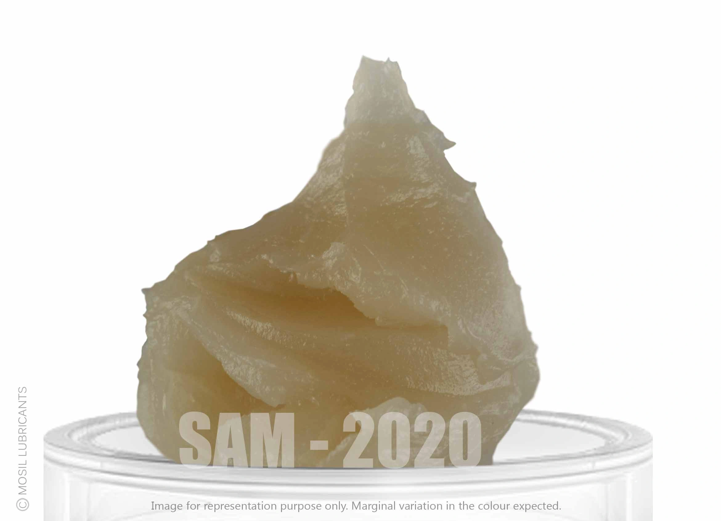 SAM - 2020