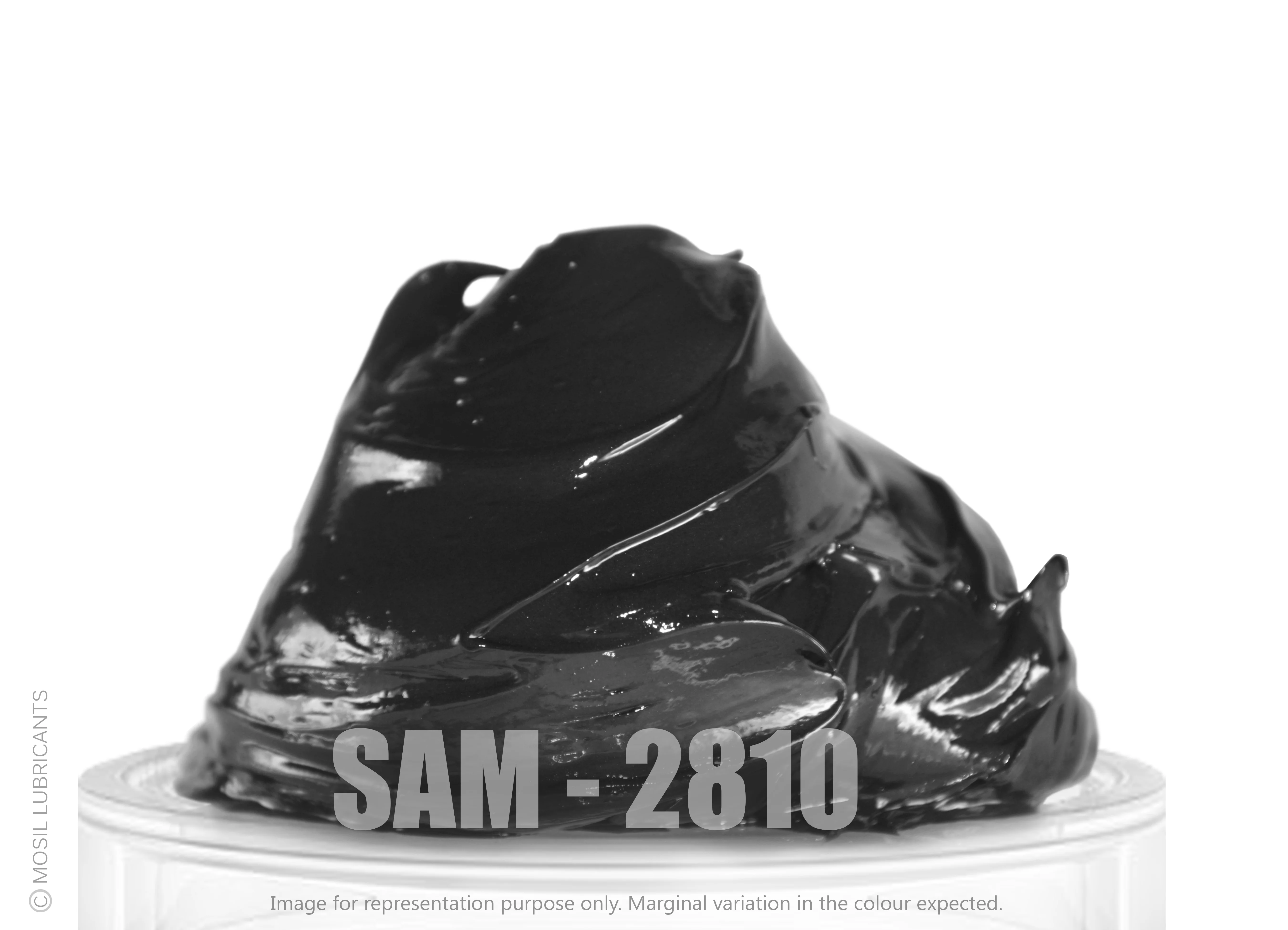 SAM - 2810