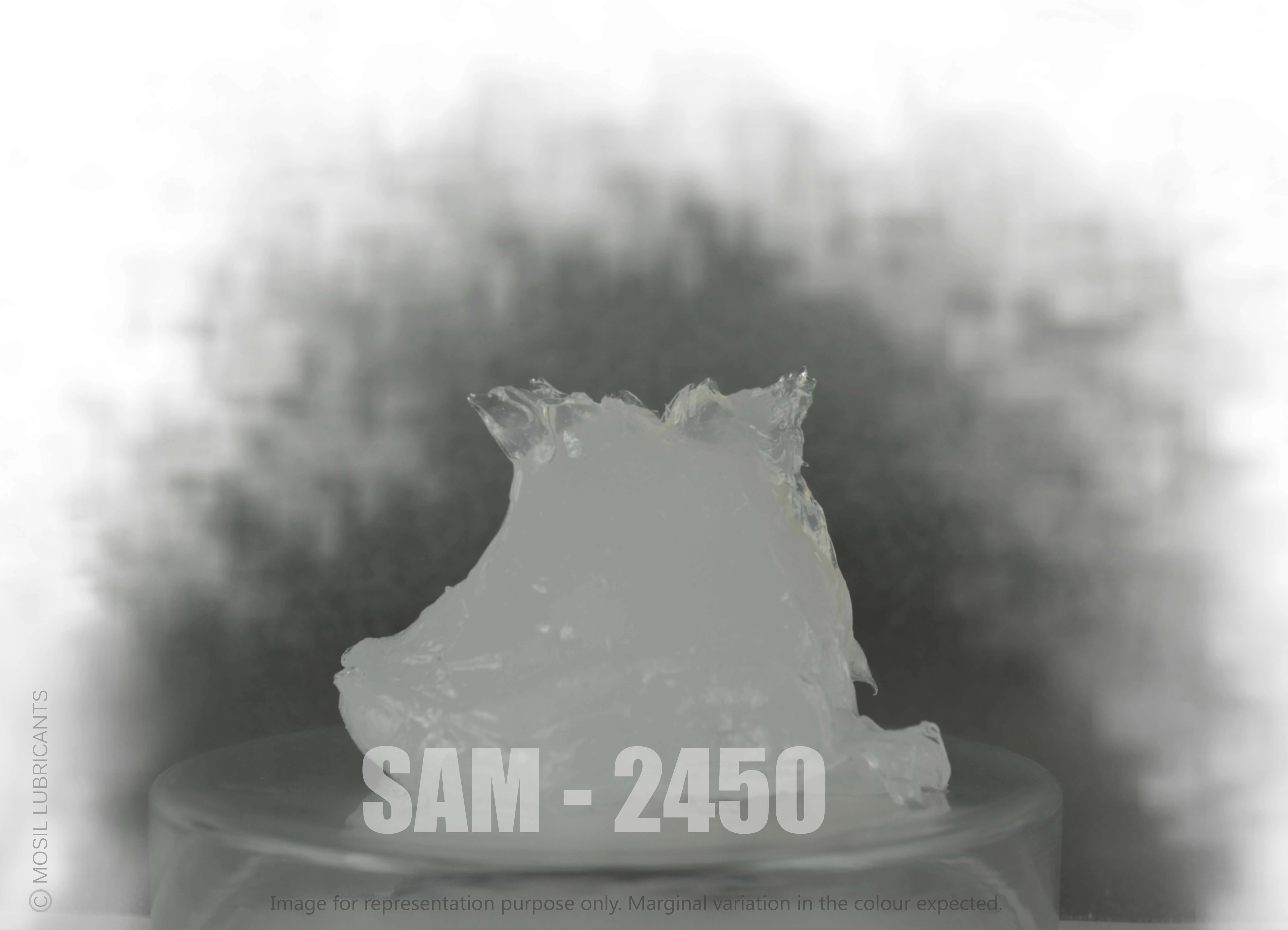 SAM - 2450