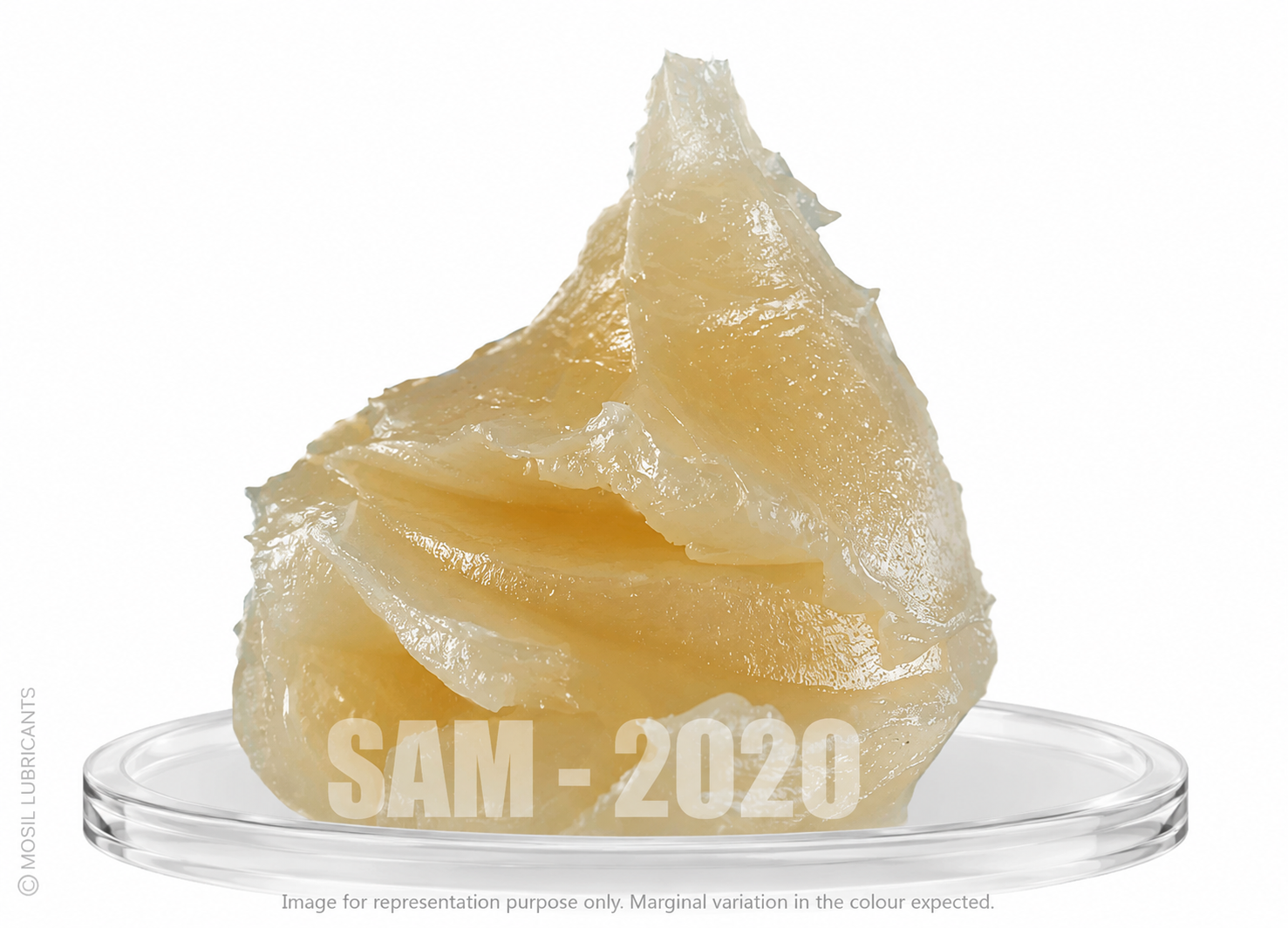 SAM - 2020