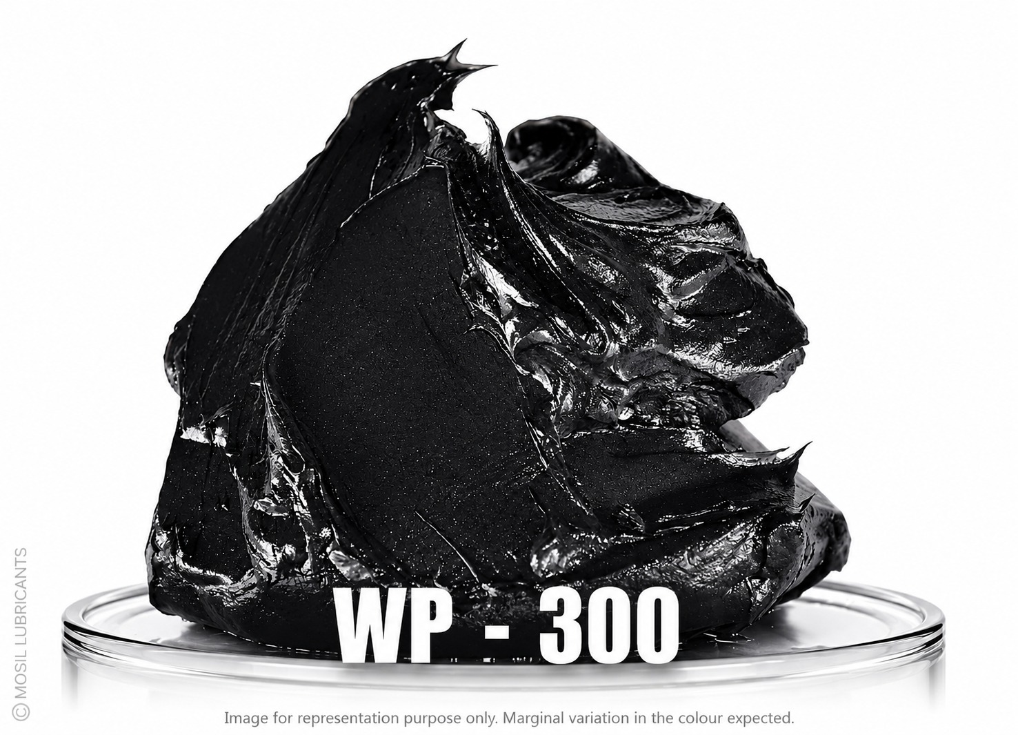 WP - 300