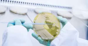 Sterile Lubricants for Pharmaceutical Applications