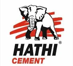 Saurashtra Cement Limited
